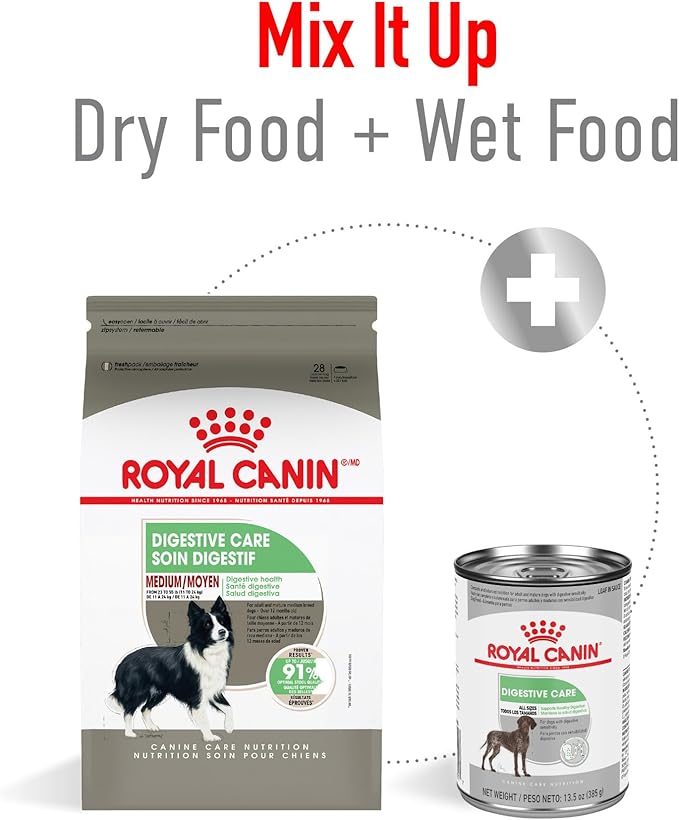 Royal Canin Canine Care Nutrition Medium Digestive Care Adult Dry Dog Food, 30 lb Bag
