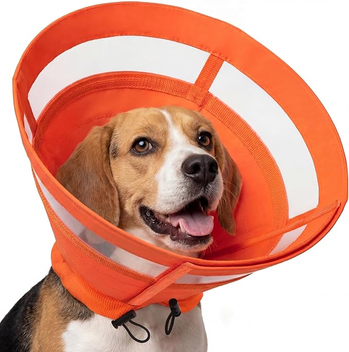 ASENKU Dog Cone Collar, Protective Recovery Dog Collar After Surgery, Comfy Adjustable Cone for Dogs to Stop Licking, Pet E-Collar for Small, Medium & Large Dogs(Orange, M)