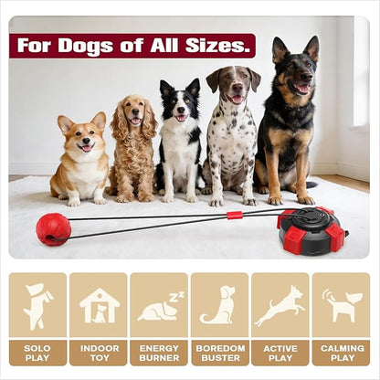 Tough Dog Tug Toy for Aggressive Chewer with Ultra-Strong Suction Cup, Dog Pull Toy, Interactive Tug of War Toy for Small Medium and Large Dogs
