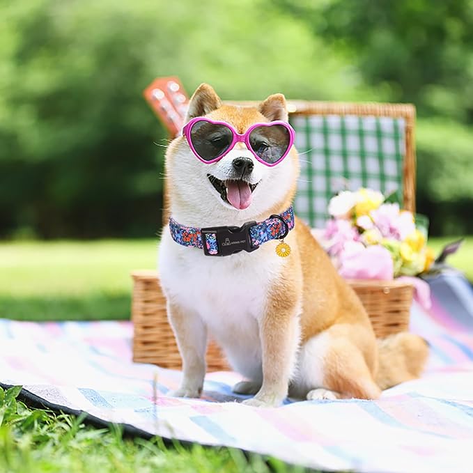 ARING PET Floral Dog Collar, Cute Blue Pink Orange Spring Summer Flower Doggy Pet Collars for Puppy Small Medium Large Girl Female Dogs-S