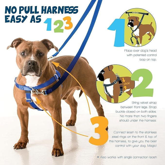 2 Hounds Design Freedom No Pull Dog Harness, Adjustable Harness, Easy Walking & Comfortable Control, Fits Small, Medium & Large Dogs, Solid Colors, Made in USA, 1" MD, Black