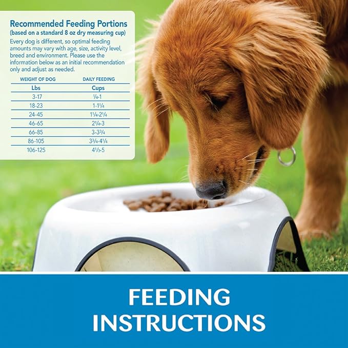 Wellness Simple Limited Ingredient Diet Adult Dry Dog Food, Wholesome Grain Kibble, Sensitive Stomach, Skin & Coat Support, Natural, Chicken Free, Lamb and Oatmeal Recipe, 26 lb Bag