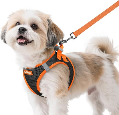 rabbitgoo Dog Harness Small Sized and Leash Set, Step-in Breathable Pet Harness, Soft Walking Reflective Puppy Vest for Small Dogs, Black & Orange, S