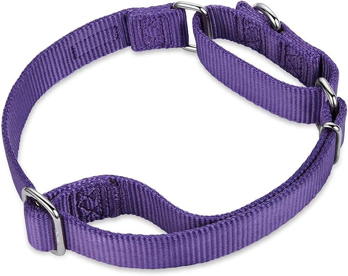 Hyhug Martingale Collar for Dogs Small Purple |Escape - Proof Heavy Duty Nylon Durable No Buckle, Ideal for Training & Daily Walks