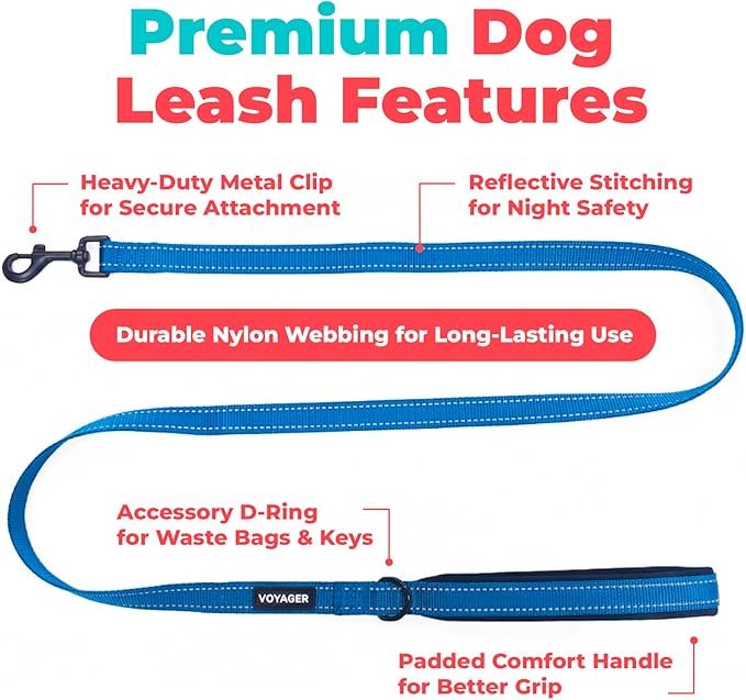 Best Pet Supplies Voyager Reflective Dog Leash or Collar with Neoprene Handle, for Small, Medium, and Large Breed Puppies, Cute and Heavy Duty for Walking, Running and Training - Royal Blue (Leash), L