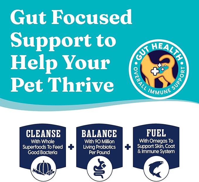 Solid Gold Sensitive Stomach Dog Food for Adult & Senior Dogs - Grain Free Healthy Dog Food w/Real Quail, Pumpkin, Fiber & Probiotics for Gut Health & Digestion - Kibble for Sensitive Stomachs - 24LB