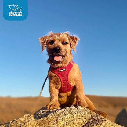 Best Pet Supplies Voyager Step-in Air Harness - All Weather Mesh, Reflective, No Pull Harness for Dogs, Cats - Secure with Hook & Loop Fastener, Buckle, Double D-Rings - Red, XL