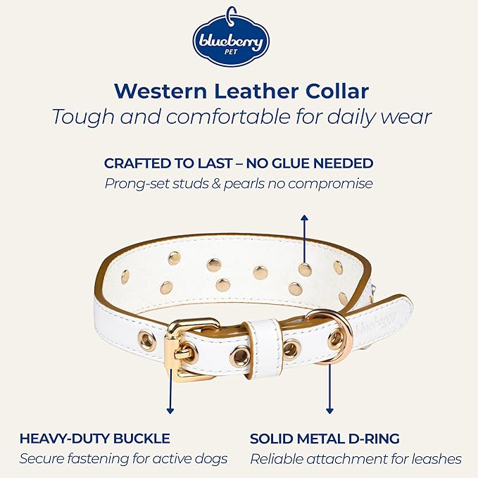 Blueberry Pet Western Genuine Leather Dog Collar for Small Breeds, Pearl White - Floral Embroidery, Pearl Studs, Adjustable 12-15 Inch Neck