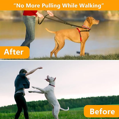 Prong Collar for Large Dogs, Dog Pinch Collar,Dog Choker Collar,High Strength Quick Release Metal Buckle,Comfort Rubber Tips,for Large Dog