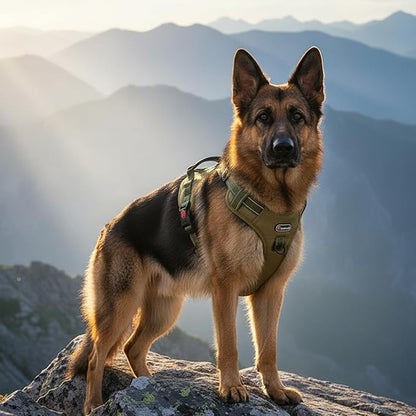 Tactical Dog Harness and Leash Set, No Pull Adjustable Heavy Duty Pet Vest with Handle, Reflective Harnesses and Leashes for Large Breed Dogs, Running Chest Collar for Puppy Safety L Size