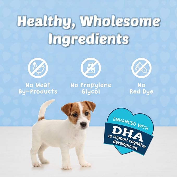 Blue Buffalo BLUE Bits Natural Soft-Moist Training Dog Treats Beef Recipe 16-oz bag