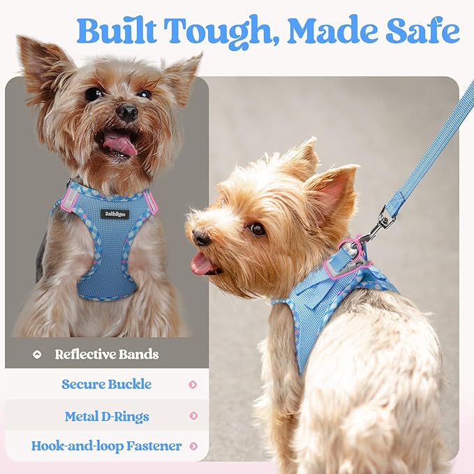 rabbitgoo Dog Harness Small Sized and Leash Set, Step in Soft Light Puppy Vest, Breathable Mesh Pet Harness, Reflective for Safe Easy Walking, Blue & Plaid Trim M