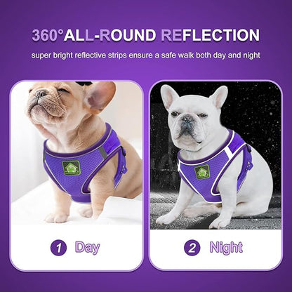 FEimaX Dog Harness and Leash Set, No-Pull Breathable Soft Mesh Puppy Vest Harness Reflective Adjustable Pet Harnesses for Small Medium Dogs and Cats - Outdoor Easy Control for Walking