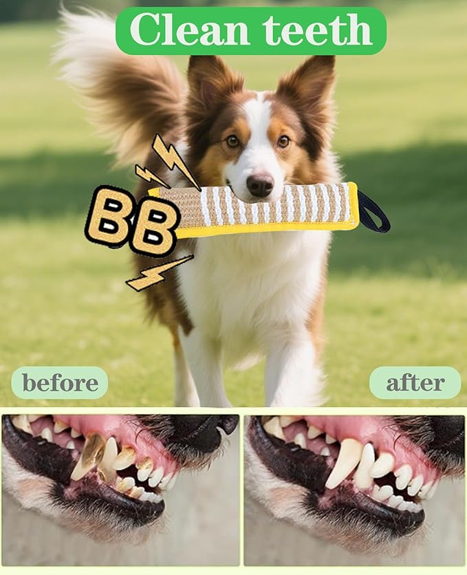 Clysoru Squeaky Tug Toy for Dogs Jute with 2 Strong Handles Lasting Training Equipment Puppy to Large Dog Interactive Toys of War Pull Indestructible Rope Pet Crinkle Teething (Citrine)