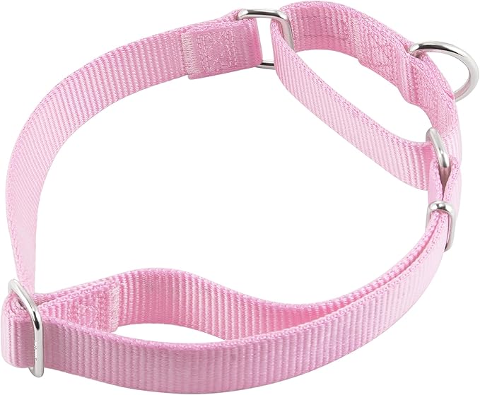 Hyhug Martingale Collar for Dogs Small Pink |Escape - Proof Heavy Duty Nylon Durable No Buckle, Ideal for Training & Daily Walks