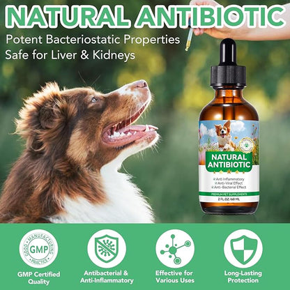 Antibiotics for Dogs, Natural Antibiotics for Dogs, Dog Multivitamin for Pets, Dog Antibiotics Helps Support a Healthy Immune System, 2 Fl Oz ﻿ ﻿ ﻿ ﻿