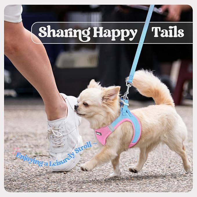 rabbitgoo Dog Harness Small Sized and Leash Set, Step in Soft Light Puppy Vest, Breathable Mesh Pet Harness, Reflective for Safe Easy Walking, Blue & Light Pink XXS
