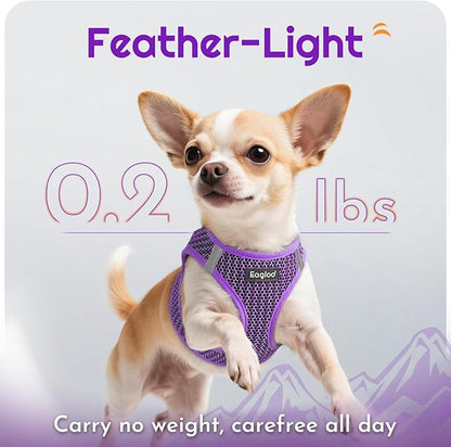 Eagloo Small Dog Harness and Leash Set, Step in Puppy Vest with Breathable Soft Mesh, Walking Reflective Pet Harness for Small Dogs, Purple, L