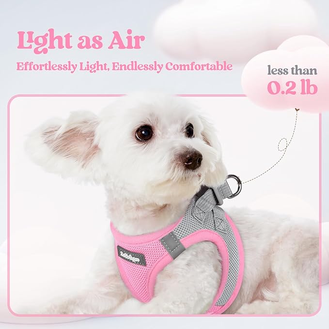 rabbitgoo Dog Harness Small Sized and Leash Set, Step in Soft Light Puppy Vest, Breathable Mesh Pet Harness, Reflective for Safe Easy Walking, Pink & Gray XXS