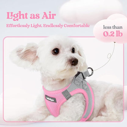 rabbitgoo Dog Harness Small Sized and Leash Set, Step in Soft Light Puppy Vest, Breathable Mesh Pet Harness, Reflective for Safe Easy Walking, Pink & Gray M