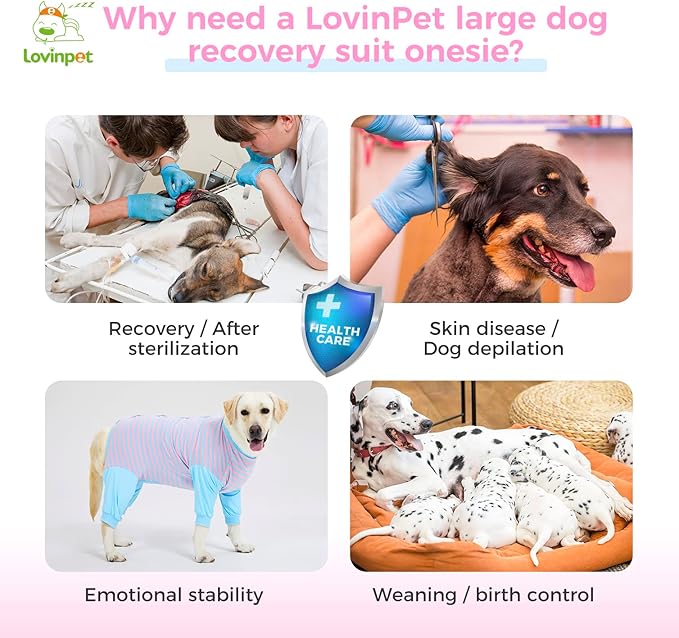 LovinPet Dog Recovery Suit - Medium Large - After Surgery Big Dog Recovery Suit Anti Licking Abdominal Wound Surgical Clothes Post-Operative Vest E-Collar Alternative Recovery Shirt,Blue,M