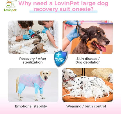 LovinPet Dog Recovery Suit - Medium Large - After Surgery Big Dog Recovery Suit Anti Licking Abdominal Wound Surgical Clothes Post-Operative Vest E-Collar Alternative Recovery Shirt,Blue,M