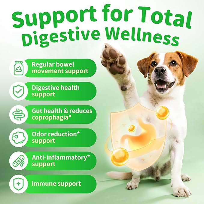 Dog Probiotics & Digestive Enzymes – Pumpkin Fiber Chews for Gut Health, Diarrhea & Upset Stomach Relief, Gas & Stool Support, Beef Flavor Soft Chews – 90 Count