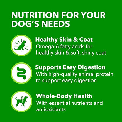 IAMS Proactive Health Wet Dog Food, Adult Wet Dog Food Multipack Ground Dinner, with Chicken & Rice, 13 oz. Cans (Pack of 12)
