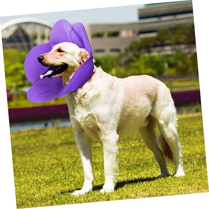 BESPORTBLE Dog Recovery Collar Cones Flower Elizabethan Collar Protective Pet Necklace Lightweight Size l
