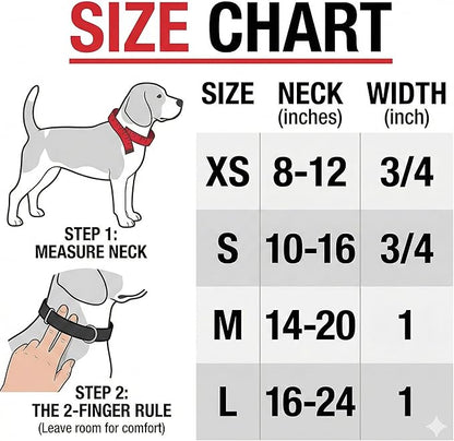 Service Dog Collar & Emotional Support Animal (ESA) Collar with Metal ID Tag + 3 Information Cards – Adjustable Heavy-Duty Nylon | ALL ACCESS CANINE