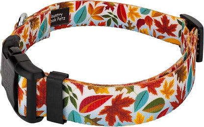 Country Brook Petz - Brisk Autumn Everyday Dog Collar and Leash - Awesome Autumn Collection Featuring Designs You Will Fall for (1/2 Inch, 2XS)
