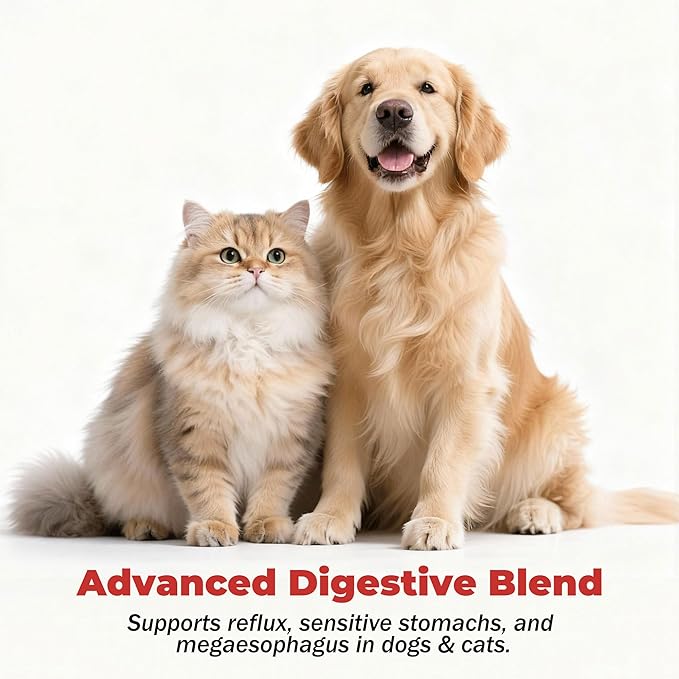 Slippery Elm for Dogs – Megaesophagus Dog Aid – Vet-Formulated Organic Slippery Elm Bark Powder – Cat Digestive Support – Relief for Constant Upset Stomach, Acid Reflux, Throwing Up – 5.3 oz