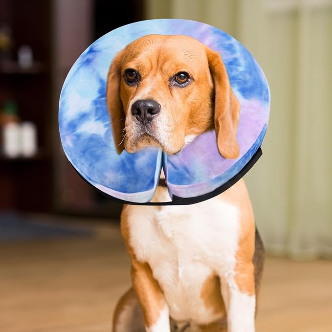 Dog Cone, Y-blue Cone Collar Inflatable Dog Neck Collar Recovery E-Collar Alternative, Cat Donut Collar After Surgery for Dogs and Cats(Purple Blue, M+)