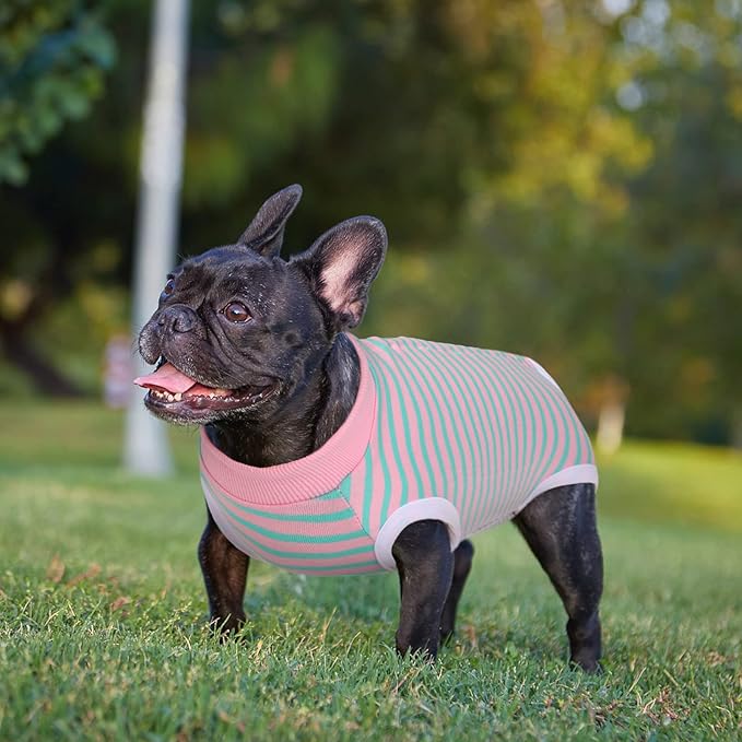 Dog Recovery Suit, Puppy Surgical Pajamas Bodysuit for Dogs Cats After Spay Neuter Surgery Abdominal Wound Bandages, Striped Onesie Pant for Shedding Skin Disease, Anti-Licking Cone Alternative XL