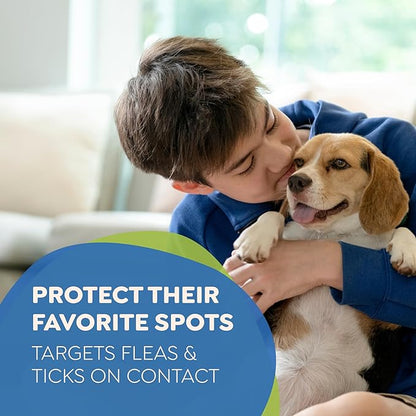 Riddy Flea & Tick Natural Spray for Pets with Essential Oils Safe Non-Hazardous Indoor and Outdoor Control, 8 oz, 1 Pack