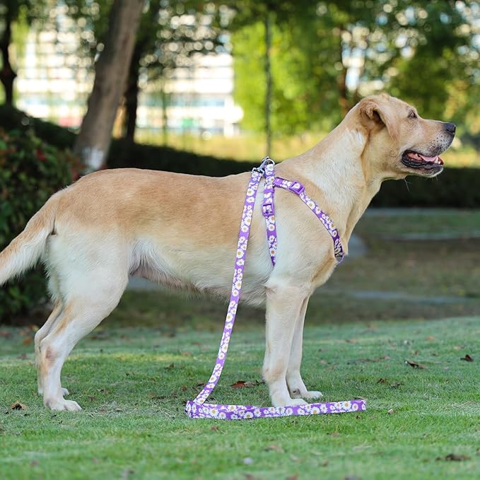 Harness and Leash Set, Floral Pattern, 5ft Matching Leash, No Pull, Easy Wear for Small Dogs.(S, Purple Daisy)