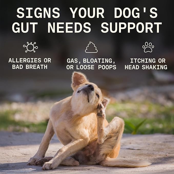 5-in-1 Dog Probiotic Powder – 100% Natural Gut Health Support with Prebiotics, Postbiotics & Enzymes - Made in USA – 30 Scoops