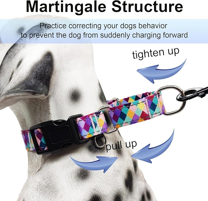 Reflective Martingale Collar for Dogs with Quick Release Buckle No Pull Training Dog Collars (Colorful Geometric, Medium)