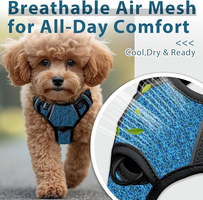 BARKBAY Dog Harness No Pull with ID Tag Pocket - Heavy Duty, Reflective, Easy Control for Small Dogs(Blue/Black,S)