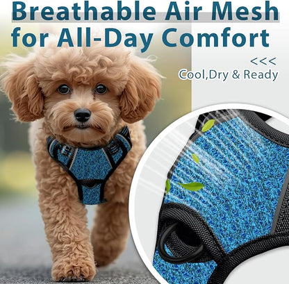 BARKBAY Dog Harness No Pull with ID Tag Pocket - Heavy Duty, Reflective, Easy Control for Small Dogs(Blue/Black,S)