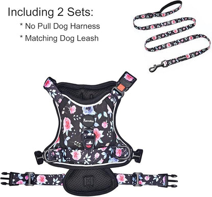 Petmolico XS Dog Harness and Leash Set, No Choke 4 Leash Attachments Easy Control Handle Soft Padded Reflective Vest for Small Dogs, Rose