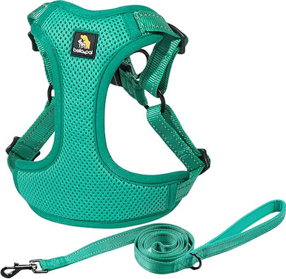 BELLA & PAL Adjustable Step-in Dog Harness, Puppy No-Pull Vest with Leash Set for XS/Small & Medium Dog, Breathable All-Weather Mesh, Reflective Strip, Secure Hook & Loop