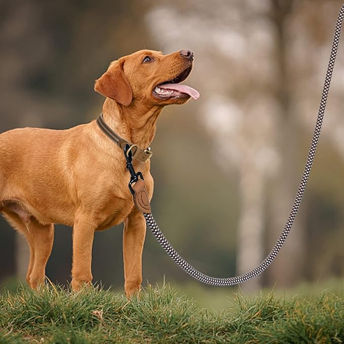 Mile High Life Rope Leash with Genuine Leather Connection, 6 FT/5 FT/4 FT, Heavy Duty Leash for Medium & Large Dogs (Brown, 60 Inch)