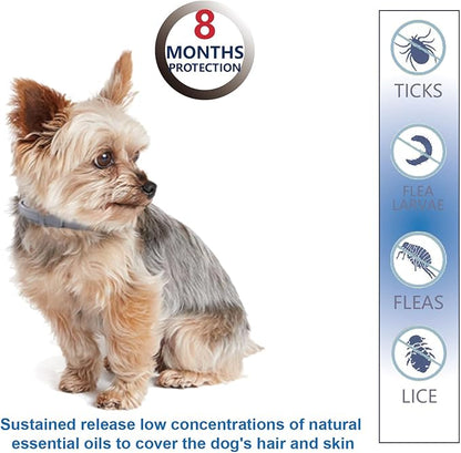 Flea and Tick Collar for Small Dogs, 2‑Pack | 8‑Month Waterproof Protection with Natural Essential Oils | Includes Comb & Tick Removal Tool