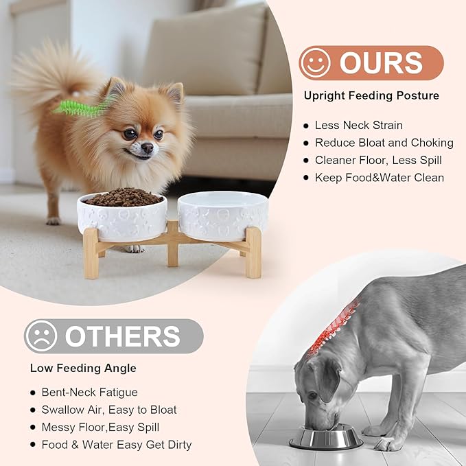 SPUNKYJUNKY Elevated Dog Bowls Ceramic, 5.1'' Dogs and Cat Food Water Bowls Raised with Non-Slip Bamboo Stand for Puppy Small Sized Breed Microwave Dishwasher Safe - 13.5 OZ,Skull White