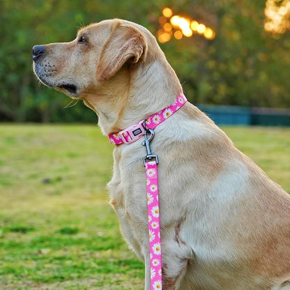 Dog Collar and Leash Set, Cute Pink Daisy Pattern, Polyester Material, 5ft Leash, for Medium Dogs.(M, Daisy Set)