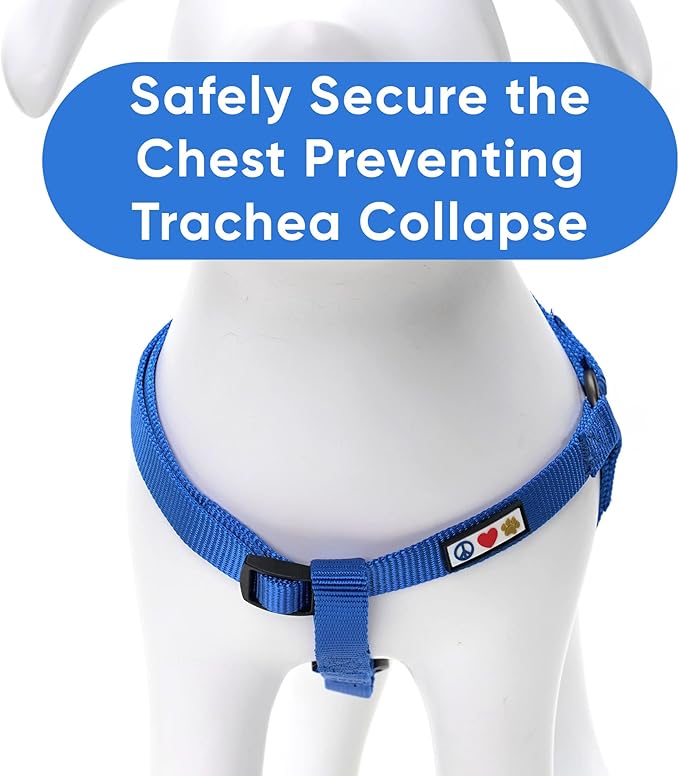 Pawtitas Solid Step-in Dog Harness – Adjustable No-Pull Vest for Puppies to Seniors, Safe & Comfortable XS Blue