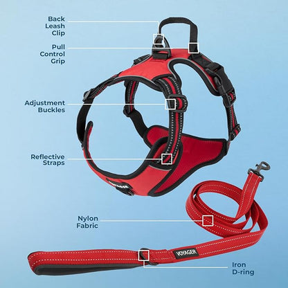 Voyager Dog Harness Dual Leash Attachment No-Pull Control Adjustable Soft but Strong Pet Harness for Medium and Large Dogs with 3M Reflective Technology, Leash Set Red Nylon, L (Chest: 25-30")
