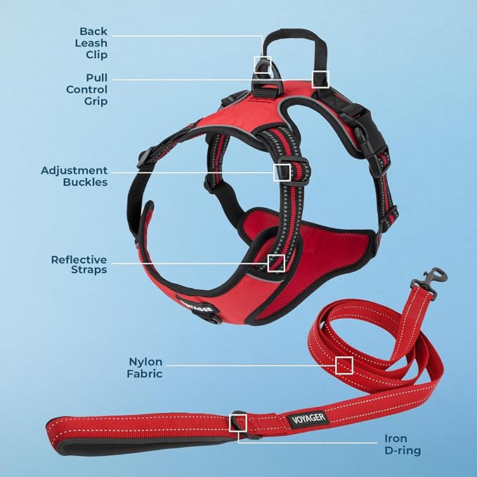 Voyager Dog Harness Dual Leash Attachment No-Pull Control Adjustable Soft but Strong Pet Harness for Medium and Large Dogs with 3M Reflective Technology, Leash Set Red Nylon, S (Chest: 16-20")