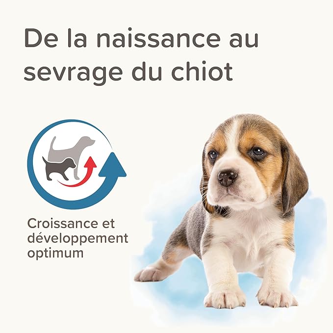 Beaphar Lactol Milk Replacer for Puppies 2kg